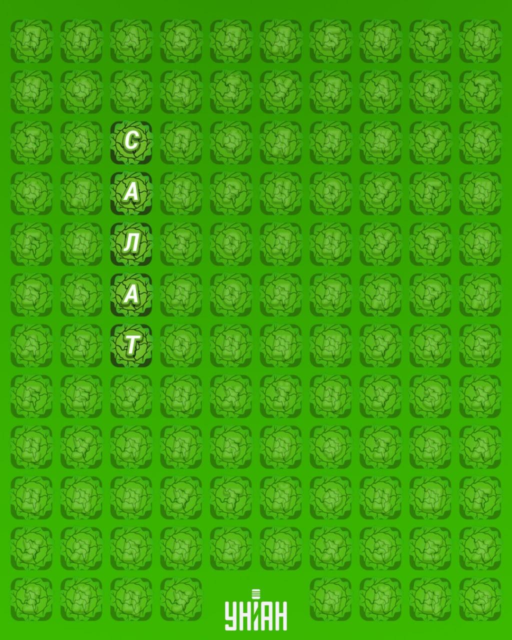 98% ludzi nie potrafi znaleźć słowa 