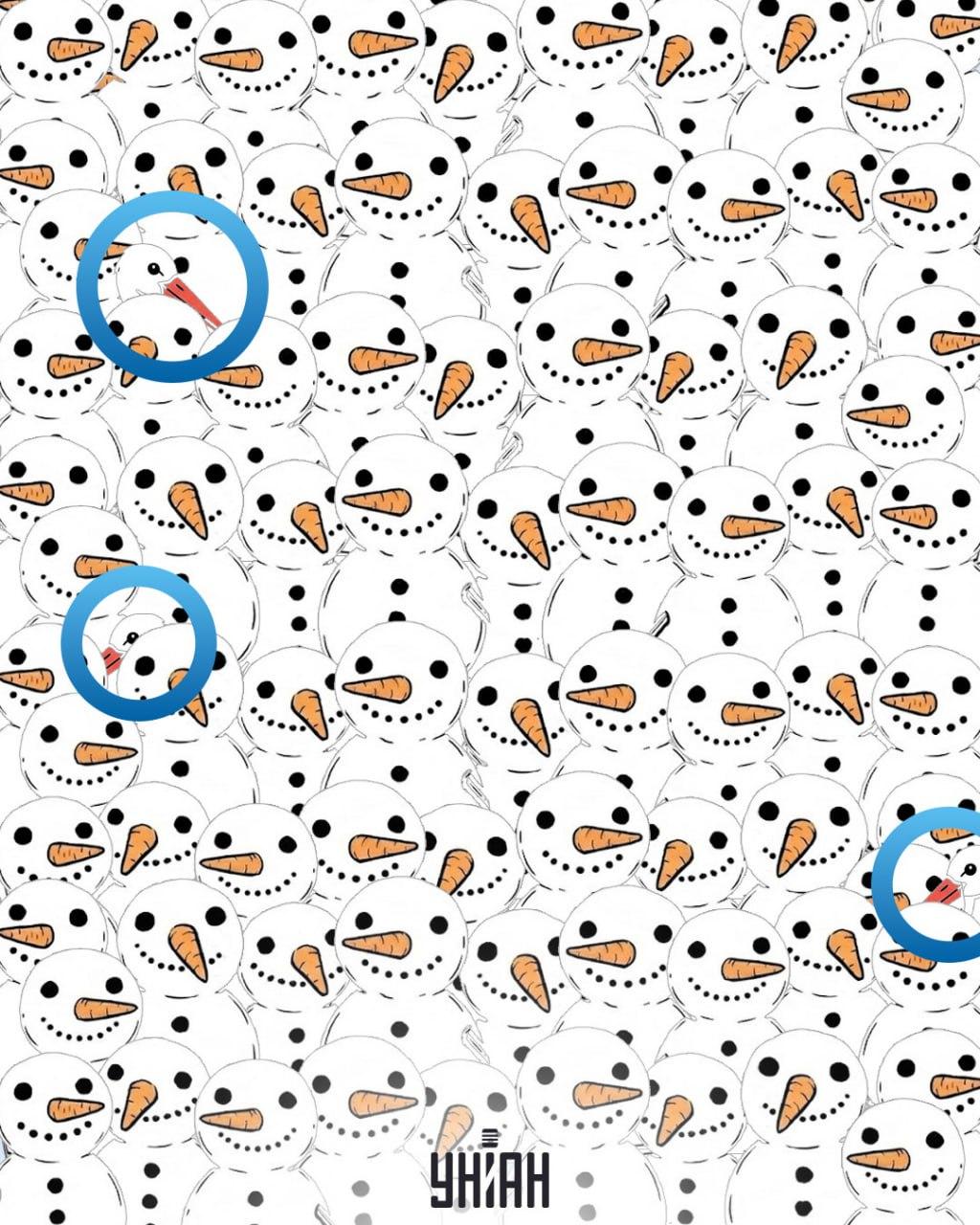 Znajdź 3 bociany wśród bałwanów w 11 sekund: niesamowite złudzenie optyczne