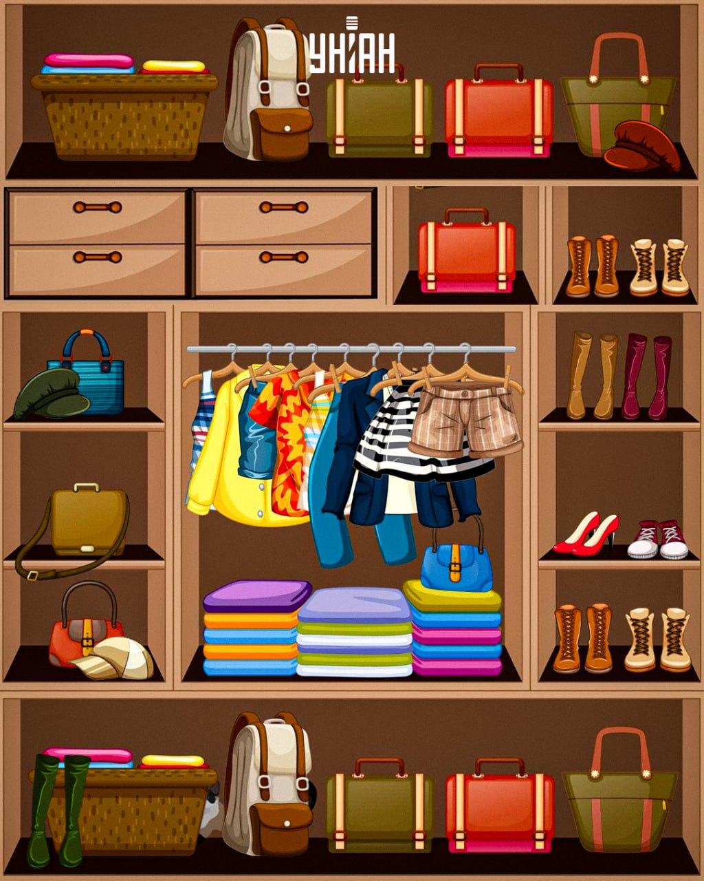 Trzeba znaleźć przebiegłego kota / kolaż Moje