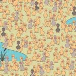 Łamigłówka dla zabawnych i zaradnych: musisz znaleźć kurczaka w 7