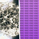 Prosty test IQ: znajdź dodatkową liczbę w 9 sekund