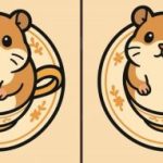 Test IQ: znajdź 3 różnice na zdjęciu chomika w 51