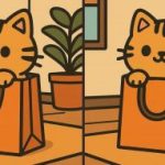 Test IQ: znajdź 3 różnice na zdjęciu uroczego kota w