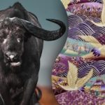 Znajdź byka na obrazku w 15 sekund: zagadka dla najbardziej