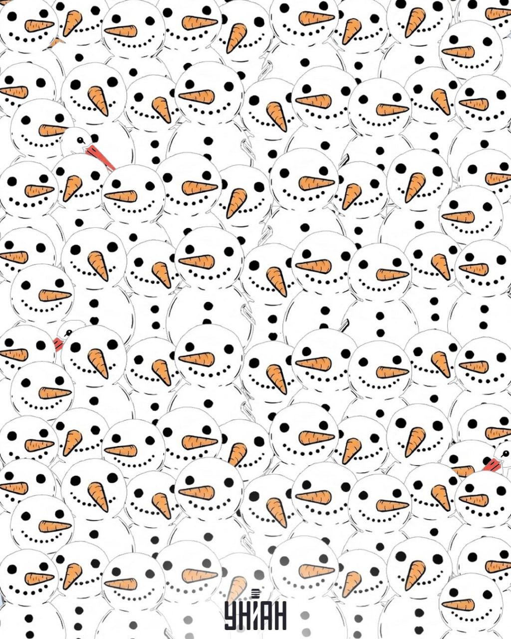 Znajdź 3 bociany wśród bałwanów w 11 sekund: niesamowite złudzenie optyczne