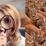 Znalezienie trzech kóz wśród jeleni w 11 sekund: bardzo złożone